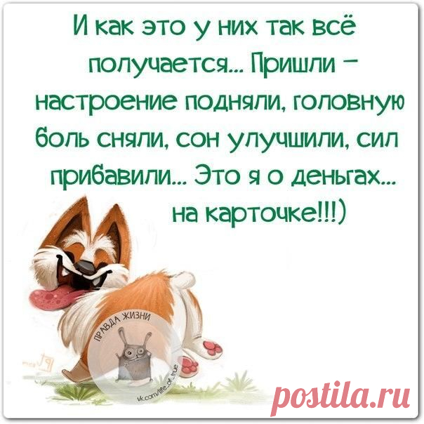 Крутые анекдоты для поднятия настроения