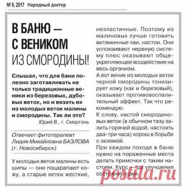 В баню - с веником из смородины