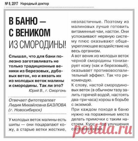В баню - с веником из смородины