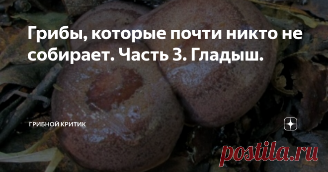 Грибы, которые почти никто не собирает. Часть 3. Гладыш. Здравия всем! И грибникам, и тем, кто любит просто порассуждать о грибах.
Хотел сегодня затронуть тему гладыша. И не только потому, что он вызывает совершенно разные эмоции у грибников, а хотя бы потому, что многие его путают с другими грибами. Например, с серушкой. Но это совершенно разные грибы!!!
СЕРУШКА
В некоторых регионах, этот гриб называют ещё гладушкой, гладухой и всё из-за гладкой, слизи