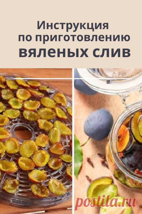 Если у тебя в этом году выдался отличный урожай слив, предлагаю сделать заготовку из вяленых слив на зиму.