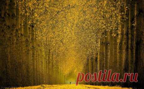 A Lifetime Photography