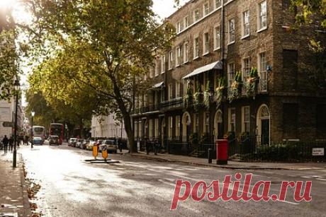 Британии предсказали уникальное осеннее явление. Британская организация «Национальный фонд», которая занимается охраной природы и зданий, предсказала, что в осенью в стране можно будет увидеть больше деревьев с золотисто-коричневой листвой. Об этом сообщает The Guardian. Эксперты отметили, что из-за экстремальной жары летом деревья слишком рано сбросили листву.