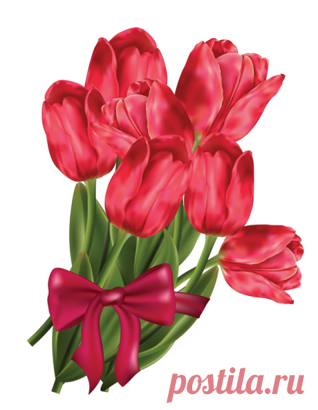 клипарт декор «цветочный» png