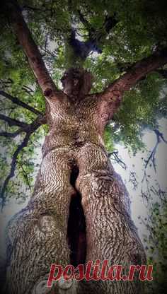 (2994) Pinterest