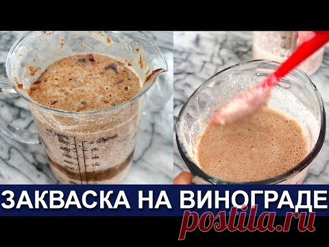 🥖🍞🥨 Закваска на винограде - Неубиваемая и стойкая - Неприхотливая и сильная - Как вывести закваску