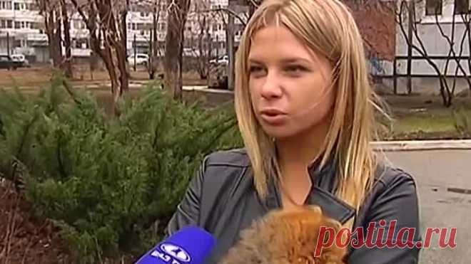 Один дома,или как отучить собаку выть и лаять, когда она остаётся дома одна