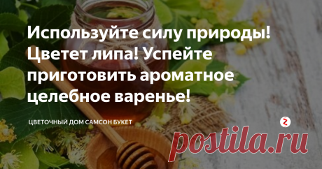 Используйте силу природы! Цветет липа! Успейте приготовить ароматное целебное варенье! Цветки липы с незабываемым тонким медовым ароматом заготавливали и использовали в лечебных целях издревле  на Руси! Чай, настой, отвар из липового цвета - первые  средства при простудных заболеваниях. Но не только при этих недугах его  применяют по сегодняшний день, как в народной, так и традиционной медицине.
Цветки липы содержат эфирные масла, флавоноиды, дубильные вещества, сапонины (кверцетин,