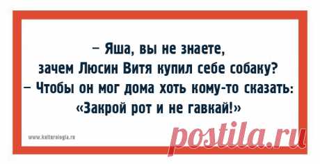 Одесская хохма – это не просто шутка, а кладезь мудрости