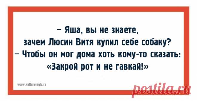 Одесская хохма – это не просто шутка, а кладезь мудрости
