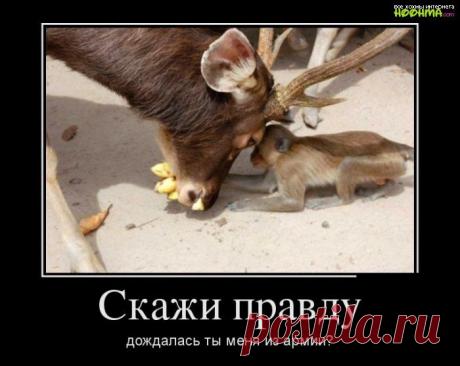 Скажи правду | Обхохочешься