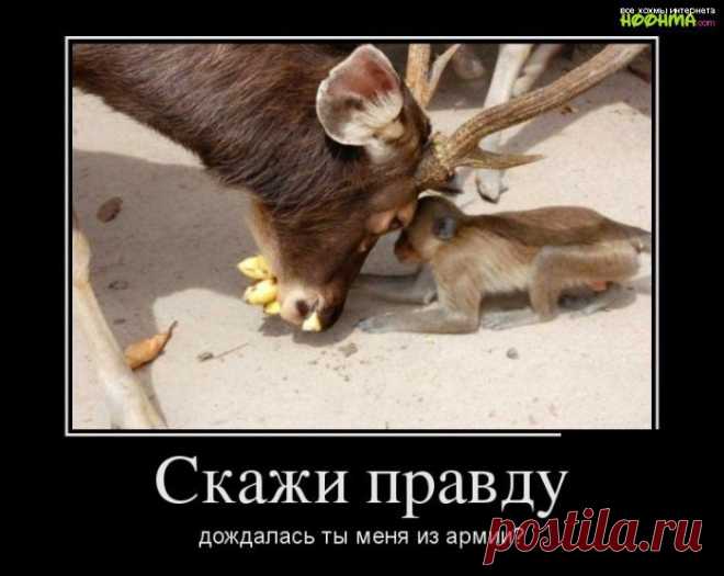 Скажи правду | Обхохочешься