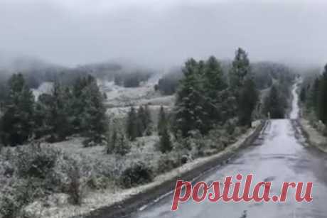 В российском регионе выпал первый снег и попал на видео. В российский регион — Горный Алтай — 19 августа пришла зима. Местные жители сняли выпавший ночью первый снег. Видео публикует Telegram-канал «Новые известия». На кадрах видно засыпанную дорогу, а также горную долину с елями, которые тоже покрыты снегом. Погода сохранится до середины следующей недели.