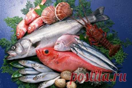 Морепродукты способны продлить вашу жизнь