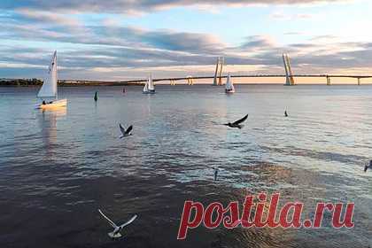Охрана прогнала двух обнимающихся парней со словами «валите из России». В Санкт-Петербурге охранники прогнали двух обнимающихся парней со словами «валите из России». Инцидент произошел возле территории «Севкабеля». Двое парней сидели на набережной и обнимались, однако это не понравилось местным охранникам. Они подошли к молодым людям и нецензурно попросили их покинуть территорию.