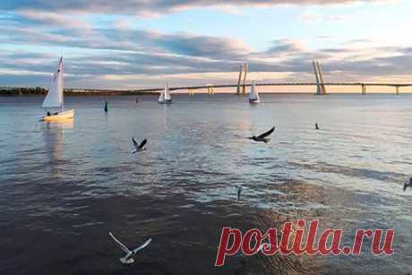 Охрана прогнала двух обнимающихся парней со словами «валите из России». В Санкт-Петербурге охранники прогнали двух обнимающихся парней со словами «валите из России». Инцидент произошел возле территории «Севкабеля». Двое парней сидели на набережной и обнимались, однако это не понравилось местным охранникам. Они подошли к молодым людям и нецензурно попросили их покинуть территорию.