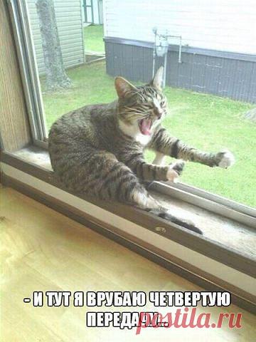 Вспоминаю ночь!