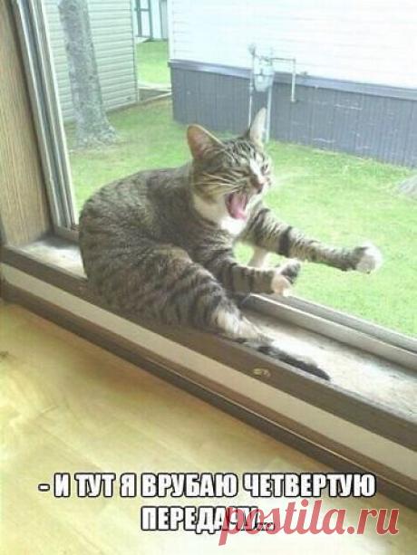 Вспоминаю ночь!