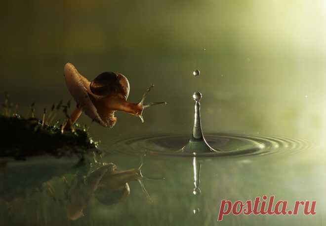 Вода - это жизнь!