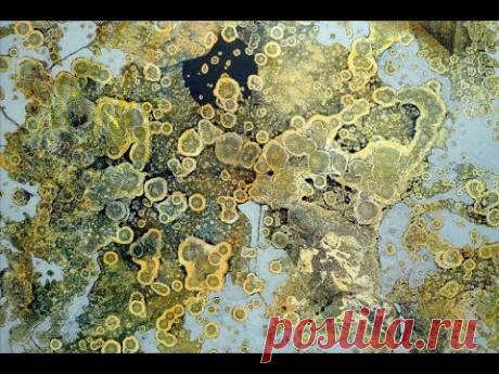 Acrylmalerei Anwendungsbeispiel Alkohol Tropftechnik 2, Acrylic painting  alcohol dripping techniqu