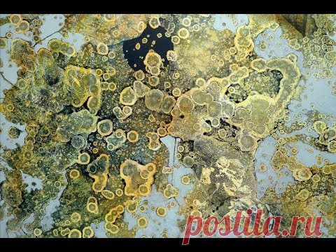 Acrylmalerei Anwendungsbeispiel Alkohol Tropftechnik 2, Acrylic painting  alcohol dripping techniqu