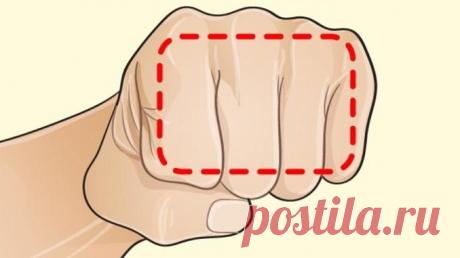 Эта простейшая диета поможет сбросить вес всем желающим!