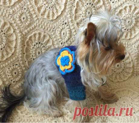 Dog ClothingCowl For DogsCrochet Dog dog от LyudmilaHandmade
