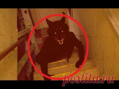 Задокументировано №127 - Питерский оборотень - YouTube