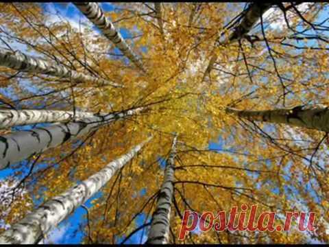 Александр Подболотов - Губерния, волость, уезд.wmv