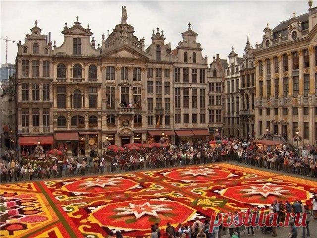 Ковры из цветов