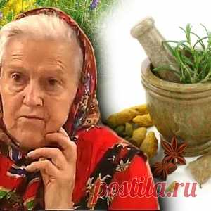Целебные корни — пырей, одуванчик, лопух