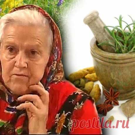 Целебные корни — пырей, одуванчик, лопух