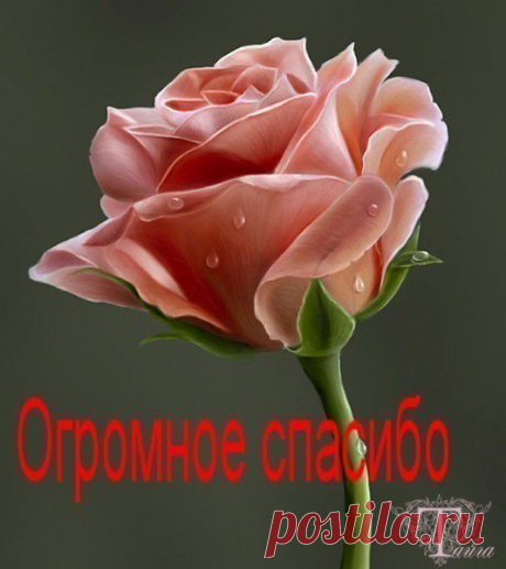 БАНЕР СООБЩЕСТВА, БЕРИТЕ В СВОИ БЛОГИ.. | КРАСИВЫЕ КАРТИНКИ. ВИДЕО. МИР, В КОТОРОМ МЫ ЖИВЕМ! | Группы Мой Мир