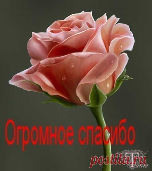 БАНЕР СООБЩЕСТВА, БЕРИТЕ В СВОИ БЛОГИ.. | КРАСИВЫЕ КАРТИНКИ. ВИДЕО. МИР, В КОТОРОМ МЫ ЖИВЕМ! | Группы Мой Мир