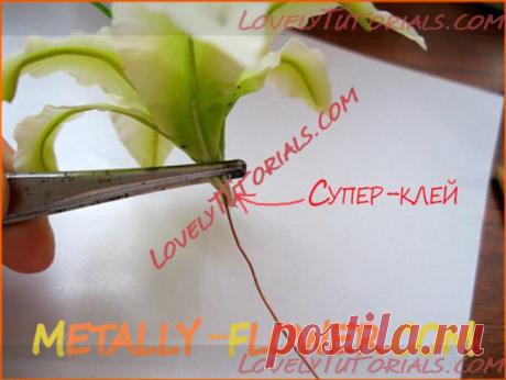 лилия,lily,lilie,giglio,lirio - Страница 4 - Мастер-классы по украшению тортов Cake Decorating Tutorials (How To's) Tortas Paso a Paso