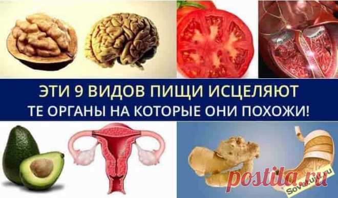 Эти 9 видов пищи исцеляют те органы, на которые они похожи! Эти 9 видов пищи исцеляют те органы, на которые они похожи! Удивительная связь с внешним видом пищи и его целебными для человека свойства