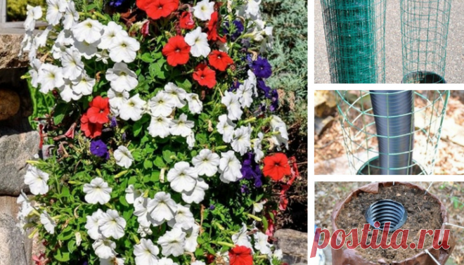 Стоит поместить пластиковую трубу в контейнер, чтобы через пару недель увидеть чудо! — Мой милый дом