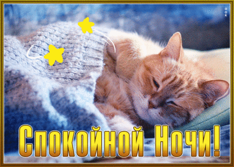 Глубокая гиф-открытка со спящим котиком, спокойной ночи