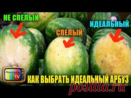 КАК ВЫБРАТЬ ИДЕАЛЬНЫЙ АРБУЗ СПЕЛЫЙ СЛАДКИЙ И БЕЗ НИТРАТОВ