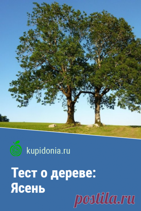 Тест о дереве: Ясень. Интересный тест об ясене из серии тестов о деревьях. Проверьте свои знания!