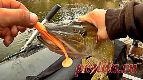 Ловля щуки на реке