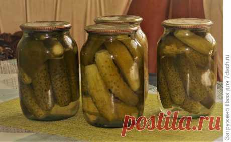 Маринованные огурцы по-волгоградски. Пошаговый рецепт с фотографиями