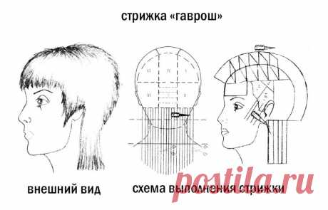 Схема стрижки Гаврош