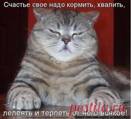 Мой Мир@Mail.Ru