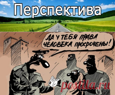 Почему США борются за права человека в России, но не в Китае и не в КНДР? | Pravdoiskatel