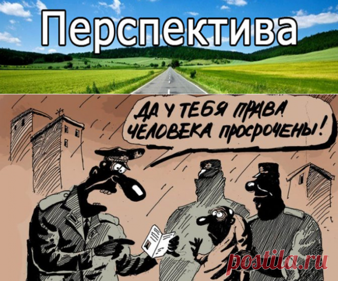Почему США борются за права человека в России, но не в Китае и не в КНДР? | Pravdoiskatel