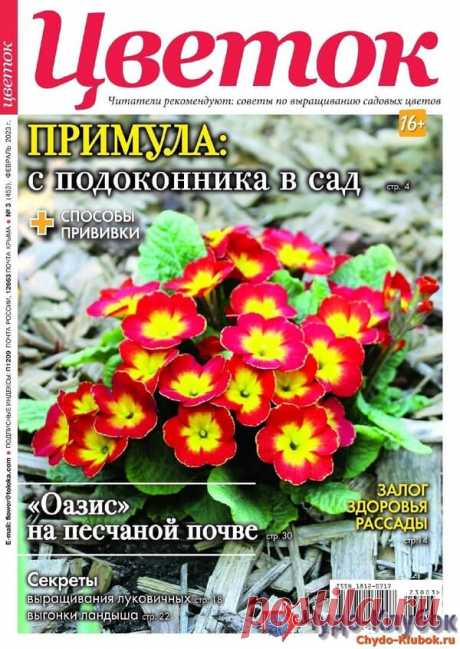 Цветок №3 2023 * Переделки.Ру Цветок №3 2023 Читать журнал ОНЛАЙН