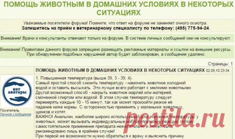 Ветеринарный форум - ПОМОЩЬ ЖИВОТНЫМ В ДОМАШНИХ УСЛОВИЯХ В НЕКОТОРЫХ СИТУАЦИЯХ - Вопросы ветеринарному врачу терапевту