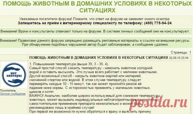 Ветеринарный форум - ПОМОЩЬ ЖИВОТНЫМ В ДОМАШНИХ УСЛОВИЯХ В НЕКОТОРЫХ СИТУАЦИЯХ - Вопросы ветеринарному врачу терапевту