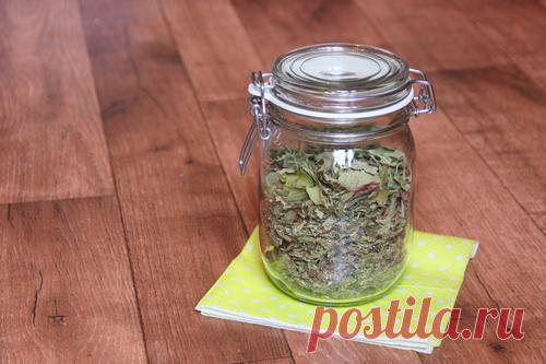 Рецепт полезного травяного чая. Какие травы я использую.